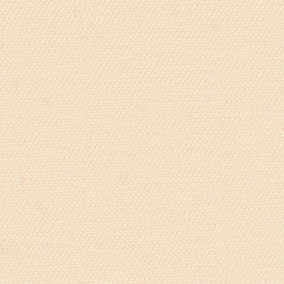 Serena Roller Shades — Light Filtering — Ivory fabric swatch