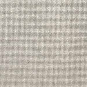 Splendor Roller Shades — Blackout — Silver fabric swatch