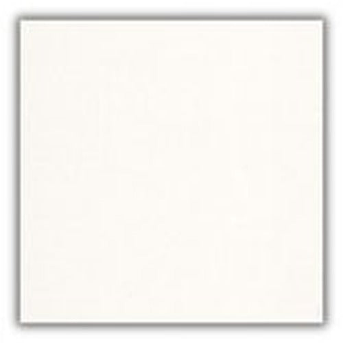 Avalon Faux Wood Blinds 2 1/2" — Snow White color swatch