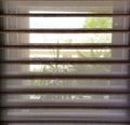 Bravada Sheerview 2 inch Light Filtering — vanes open