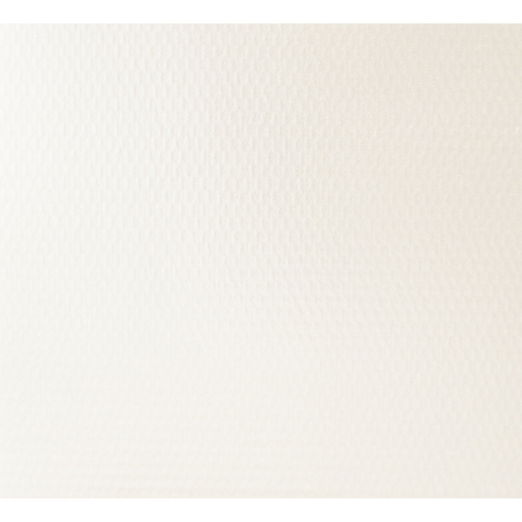 Reminiscent Vinyl Roller Shades — Blackout — White fabric swatch