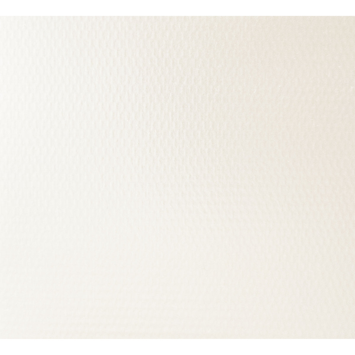 Reminiscent Vinyl Roller Shades — Blackout — White fabric swatch