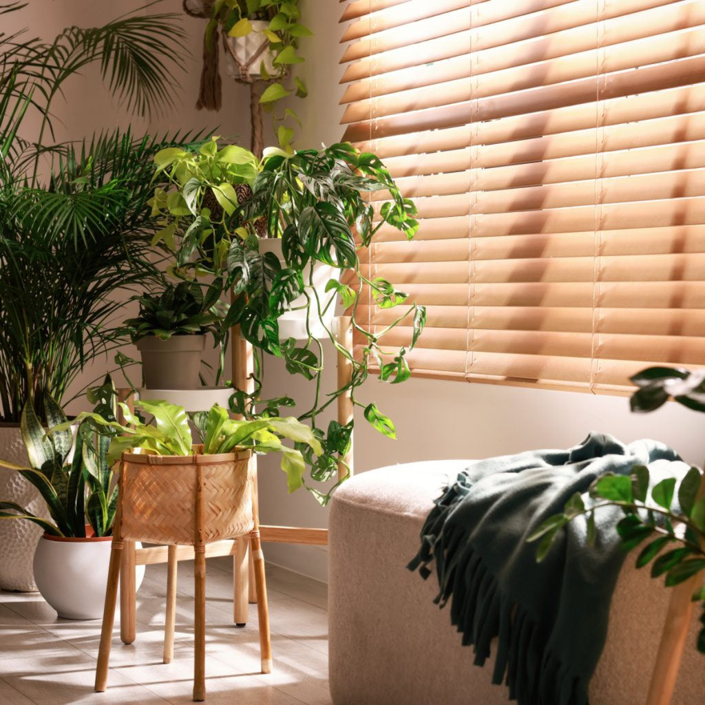 Bravada Premier 2" Real Wood Blinds