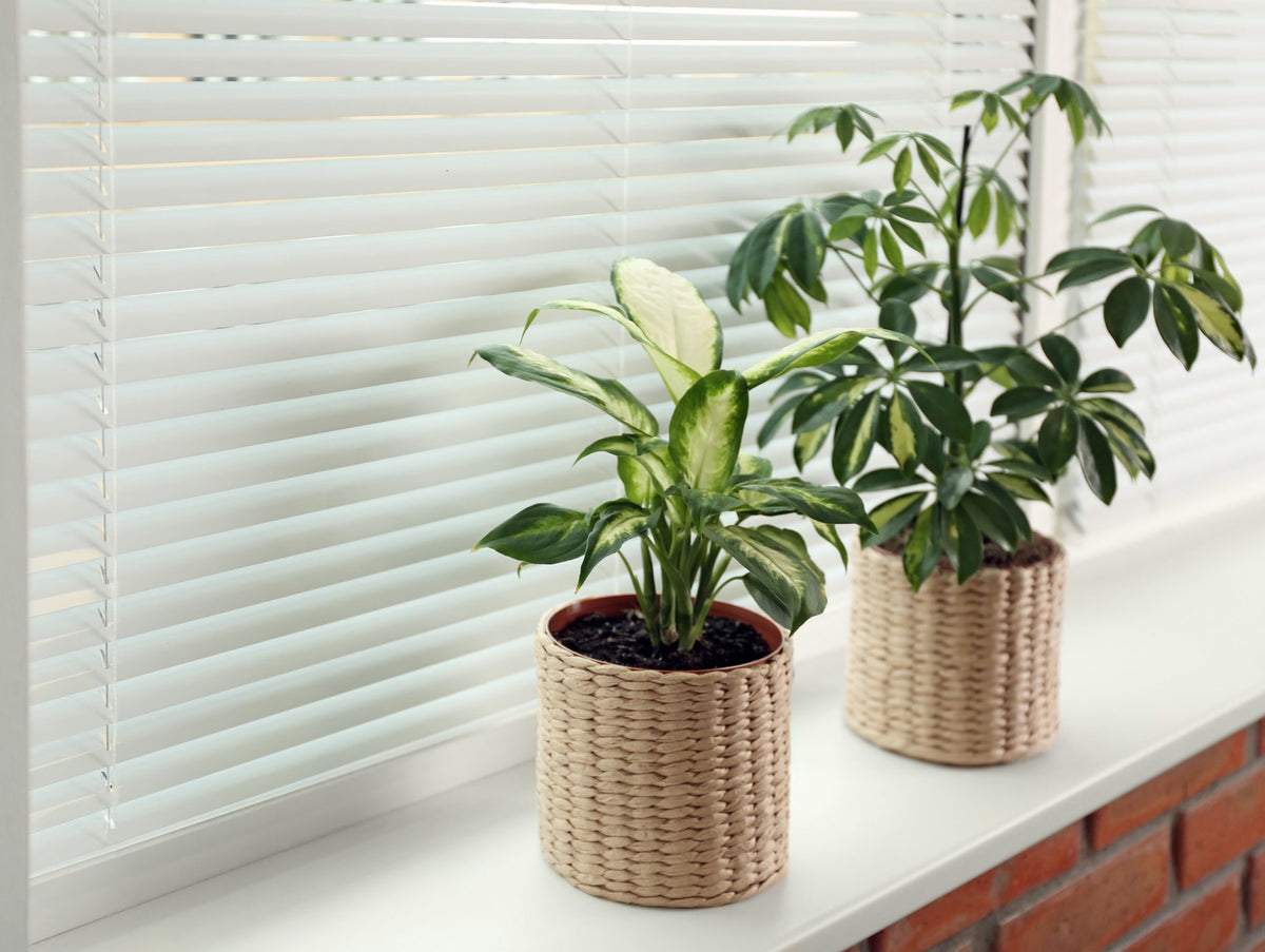 Bravada Select 1" Aluminum Blinds — 8 Gauge Premium — installed