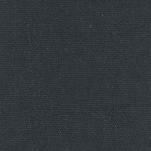 Splendor Roller Shades — Light Filtering — Black fabric swatch