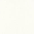 Splendor Roller Shades — Light Filtering — White fabric swatch
