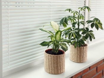 2″ Aluminum Blinds (8 Gauge)